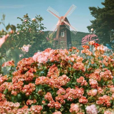 澳门新莆京游戏大厅